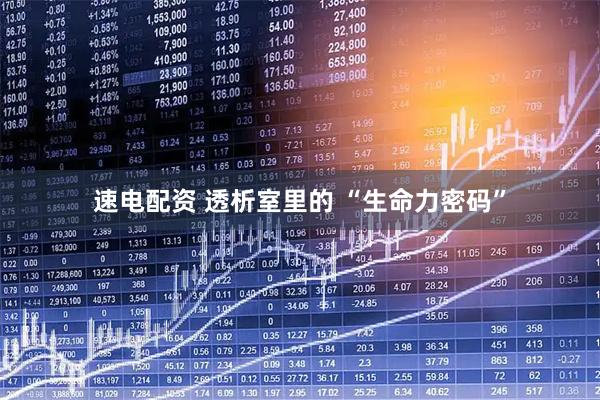 速电配资 透析室里的 “生命力密码”