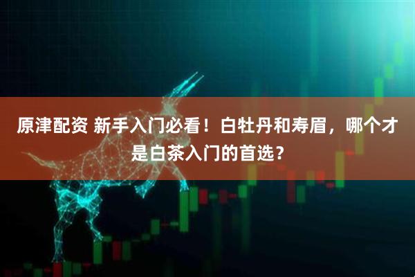 原津配资 新手入门必看！白牡丹和寿眉，哪个才是白茶入门的首选？