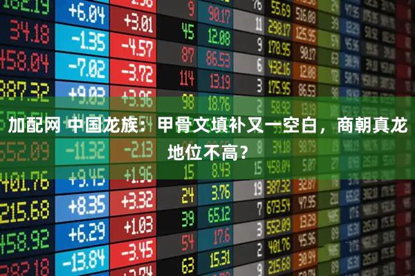 加配网 中国龙族：甲骨文填补又一空白，商朝真龙地位不高？